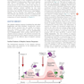 Cellular and Molecular Immunology 9th Edition 2018