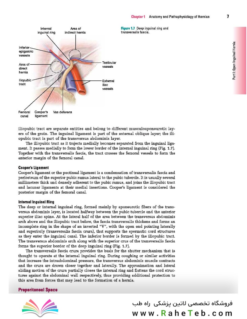 Master Techniques in Surgery: Hernia