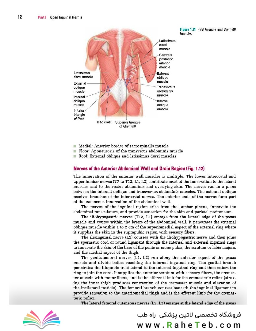 Master Techniques in Surgery: Hernia