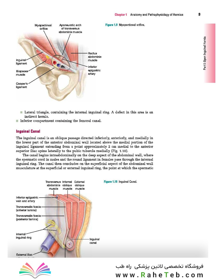 Master Techniques in Surgery: Hernia