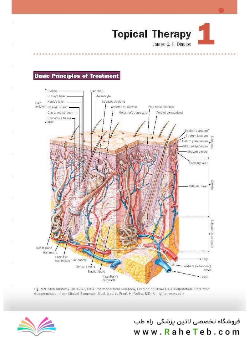 Skin Disease: Diagnosis and Treatment 4th Edition 2018