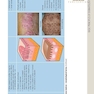 ضروریات پوستی بولونیا Dermatology Essentials 2014