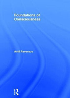 تخفیف Foundations of Consciousness