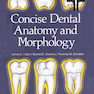 Concise Dental Anatomy and Morphology