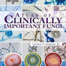 Atlas of Clinically Important Fungi2017 اطلس قارچهای مهم بالینی