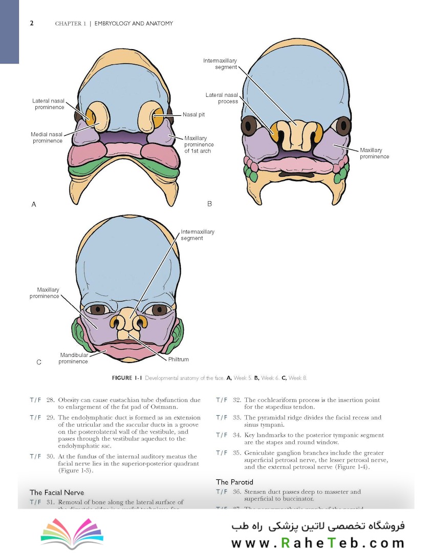 Self-Assessment in Otolaryngology