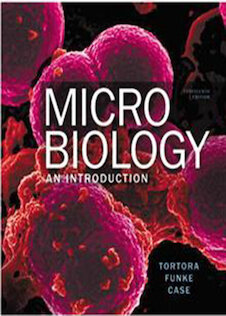 تخفیف Microbiology : An Introduction, Books a la Carte Edition