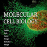 زیست سلولی و مولکولی لودیش 2016 Molecular Cell Biology