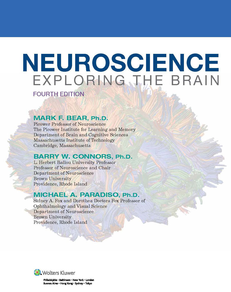 Neuroscience : Exploring the Brain 4th Edicion - | فروشگاه کتاب