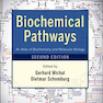 Biochemical Pathways : An Atlas of Biochemistry and Molecular Biology