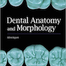 Dental Anatomy and Morphology