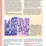 Histology: A Text and Atlas: With Correlated Cell and Molecular Biology, Eighth Edition 2020
