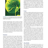 Jawetz Melnick - Adelbergs Medical Microbiology 28 E