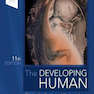 The Developing Human: Clinically Oriented Embryology 2019 انسان در حال توسعه: جنین شناسی بالینی مور