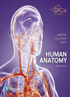 تخفیف Human Anatomy (9th Edition) 9th Edition 2017 آناتومی انسان