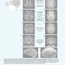 Neuroanatomy Text and Atlas, Fifth Edition 5th Edition