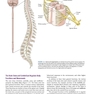 Neuroanatomy Text and Atlas, Fifth Edition 5th Edition