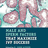 Male and Sperm Factors that Maximize IVF Success 2020