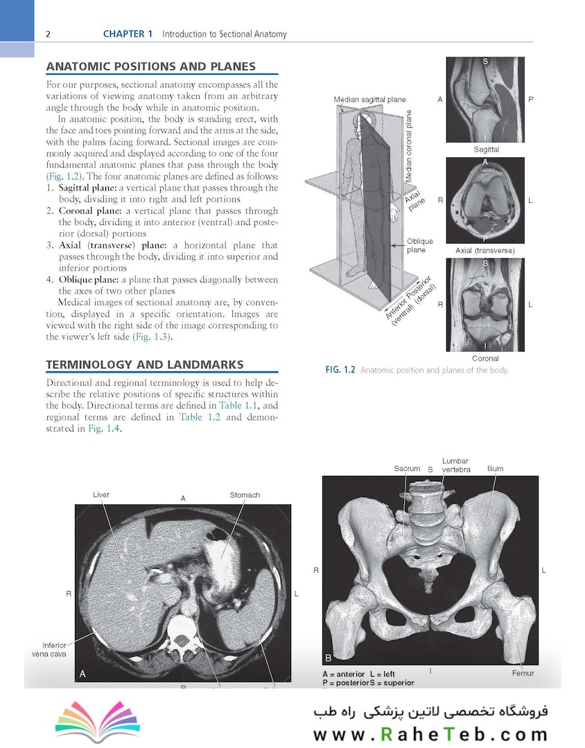 Sectional Anatomy for Imaging Professionals 4th Edition2018