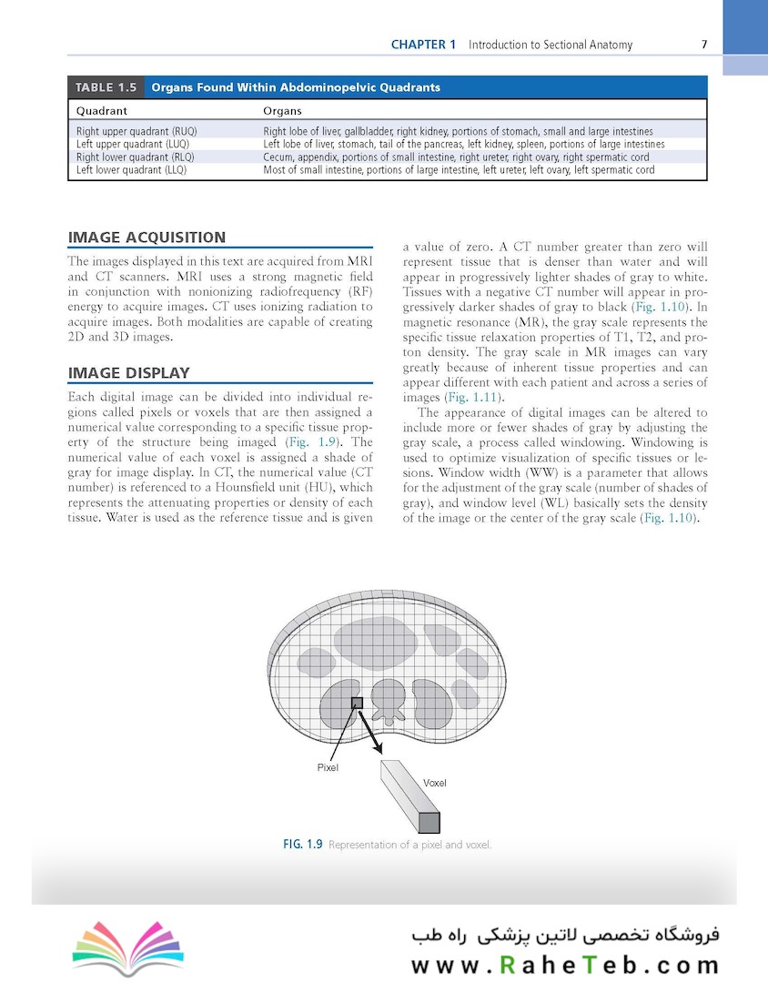 Sectional Anatomy for Imaging Professionals 4th Edition2018