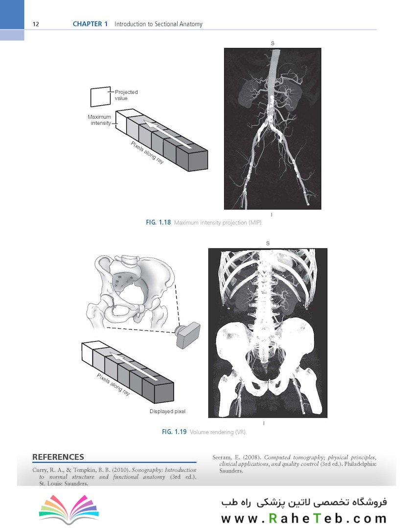 Sectional Anatomy for Imaging Professionals 4th Edition2018