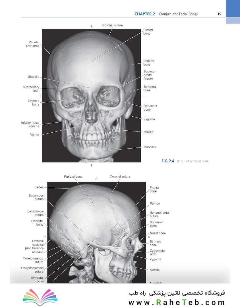 Sectional Anatomy for Imaging Professionals 4th Edition2018