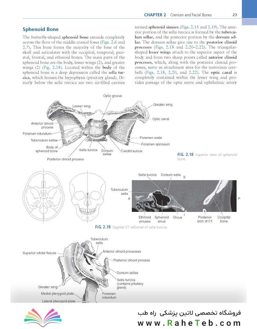 Sectional Anatomy for Imaging Professionals 4th Edition2018