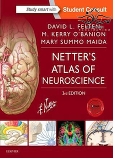 Netter’s Atlas of Neuroscience (Netter Basic Science) 3rd Edition52015