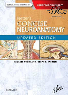 Netter’s Concise Neuroanatomy Updated Edition (Netter Clinical Science) 2016