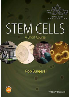 عکس Stem Cells: A Short Course 1st Edition2016