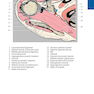 Pocket Atlas of Sectional Anatomy, Volume III, 2nd Edition 2017