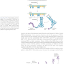 Molecular Biology of the Gene, 7th Edition 2014