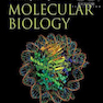 Principles of Molecular Biology, 1st Edition2012