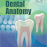 Woelfels Dental Anatomy Ninth Edition 2017