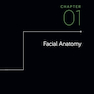 Dermal Fillers for Facial Harmony 1st Edition2019