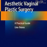 Aesthetic Vaginal Plastic Surgery 1st Edition2019