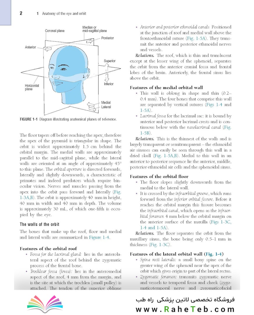 The Eye: Basic Sciences in Practice 4th Edition2015