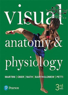 عکس Visual Anatomy - Physiology 3rd Edition2017 فیزیولوژی  ، آناتومی