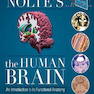 Nolte’s The Human Brain, 8th Edition2020 مغز انسان