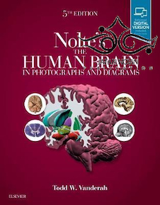عکس Nolte’s The Human Brain in Photographs and Diagrams, 5th Edition2019 مغز انسان در عکسها و نمودارها