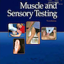 Muscle and Sensory Testing تست عضلانی و حسی