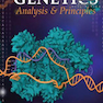 Loose Leaf for Genetics: Analysis and Principles 7th Edition