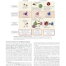 Cellular and Molecular Immunology 10th Edicion 2022