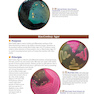 A Photographic Atlas for the Microbiology Laboratory 2011