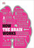 How the Brain Works: The Facts Visually Explained (How Things Work)2020