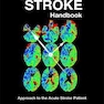 راهنمای کد سکته مغزی The Code Stroke Handbook