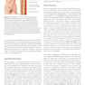 Atlas of Abdominoplasty