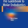 The Guidebook to Molar Endodontics