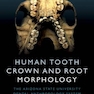 Human Tooth Crown and Root Morphology : The Arizona State University Dental Anthropology System