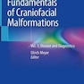 Fundamentals of Craniofacial Malformations : Vol. 1, Disease and Diagnostics